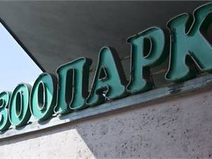 Повестка дня: Отнять и поделить, выпросить и отобрать