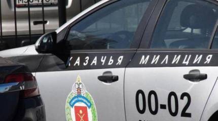 Казаки идут…