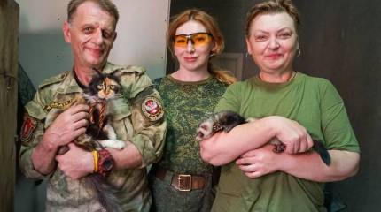 Сводка о событиях в ДНР и ЛНР за неделю 16.06.18 - 22.06.18 от военкора "Маг"