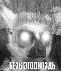 Левое спасение «Правого сектора»