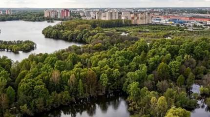 В результате удара украинского дрона в Брянске погиб местный житель