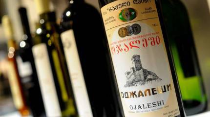 Госдума призвала правительство ввести санкции против Грузии