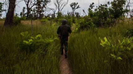 Сводка о событиях в ДНР и ЛНР за неделю от военкора "Маг" с дополнением