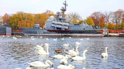 Кость в горле НАТО