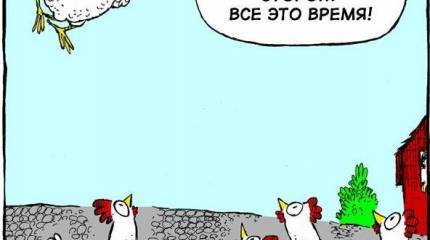 Герой «не нашего» времени. Миллионер из курятника