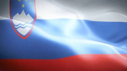 После обращения нацгвардии Украины посольство Словении сняло свой флаг в Киеве, так как «он напоминает российский»