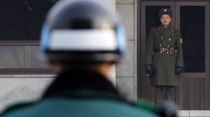 «На растерзание Югу»