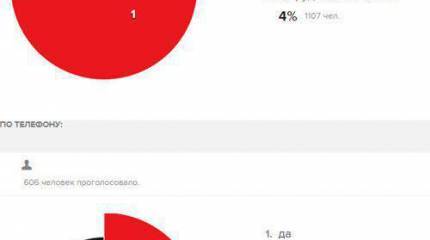 Более 70% слушателей "Эха Москвы" желают видеть Саакашвили главой своего региона