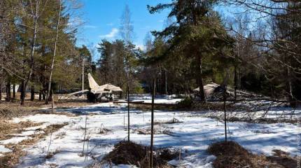 В глухом подмосковном лесу…