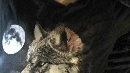 Озвучены некоторые данные о человеке, открывшем огонь на Лубянке