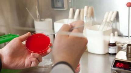 Гении из пробирки