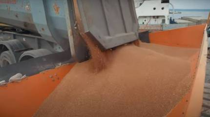 Bloomberg: Зерновое эмбарго сказывается неблагоприятным образом на экономике Украины