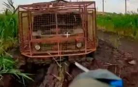 Шведские вездеходы 