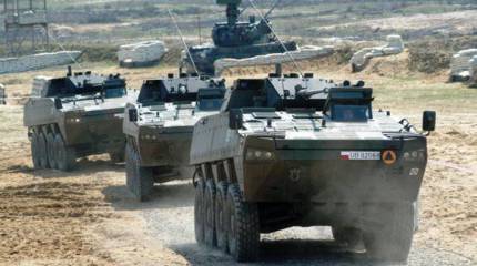 СМИ: польские войска могут дойти до Калининграда за 48 часов