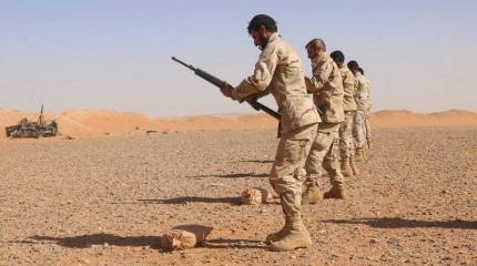 США подтвердили факт подготовки боевиков в Сирии