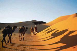 Игры престола