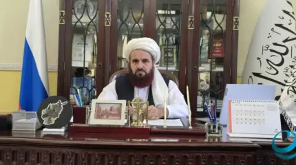 Зачем России афганские мигранты?