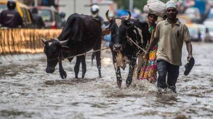 Рост экономики остановит вода. Как водные ресурсы становятся дороже нефтяных