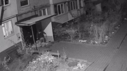 В условиях энергетического коллапса на Украине процветает воровство генераторов