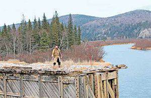 Куда ни кинь – везде Сахалин