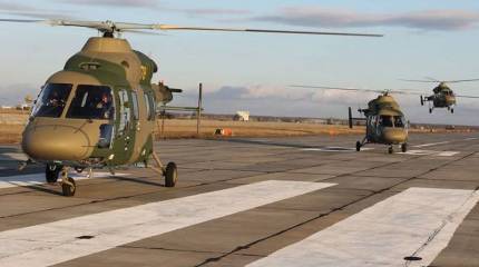 28 октября – День создания армейской авиации России