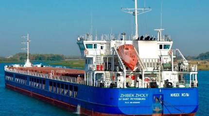 Казахстанский перевозчик проверяет информацию о том, что Киев требует арестовать его судно с зерном