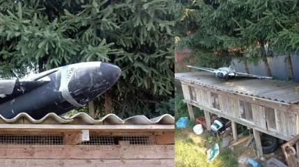 В польских соцсетях: подобие «Герберы» легко можно купить на Украине