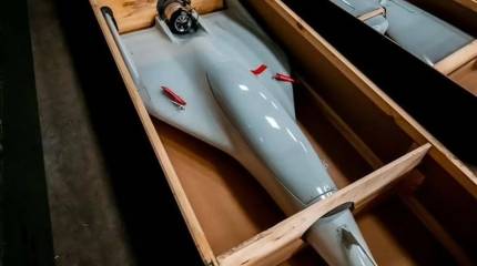 Белорусские дроны «Беркут-БМ» будут бороться с ПВО противников индийской армии