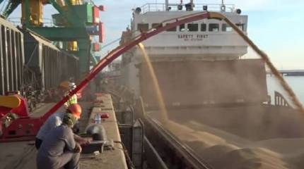 Представитель ООН высказалась о важности контактов с РФ, Украиной и Турцией по обеспечению экспорта зерна на мировой рынок