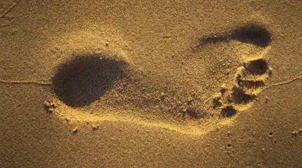 «Банковский концлагерь»