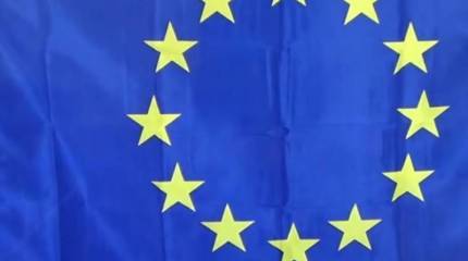 В столице Грузии неустановленные лица сожгли флаг Евросоюза