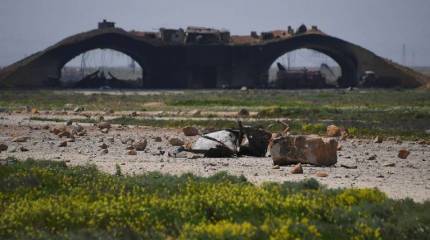 Бомбить нельзя дружить