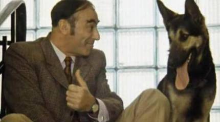 Отняли! Прошу вернуть!