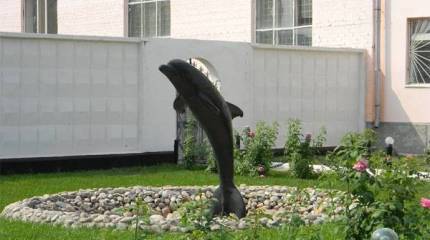 Роган: Климкин пообещал защитить меня от русских и от "Чёрного дельфина"