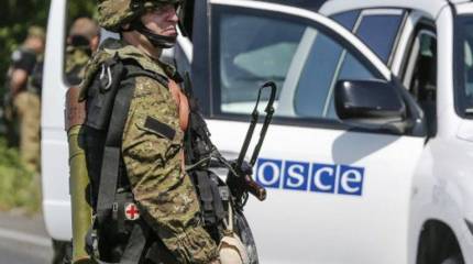 Киев разделит Новороссию на «секторы безопасности»