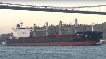 В ЕС рассматривают варианты предоставления «Россельхозбанку» доступа к SWIFT для сохранения зерновой сделки