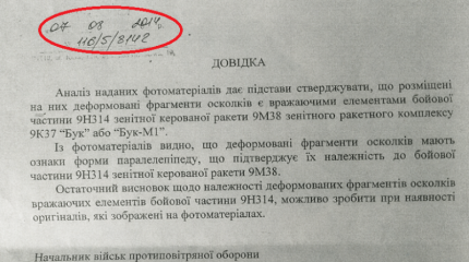 "КиберБеркут": Киев тайно получает информацию о расследовании причин трагедии с "Боингом-777" от спецкомиссии