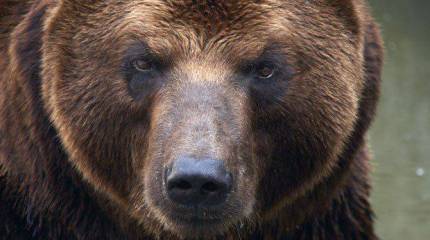 Почему США считают, что они должны сдерживать Россию ("Stratfor", США)