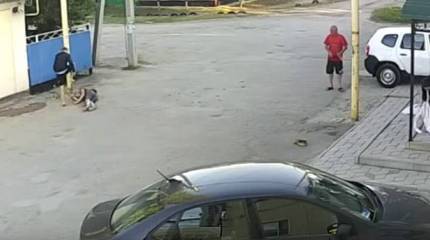 Беги, военная тварь! О невероятно жестоком избиении военного инженера в Ростовской области