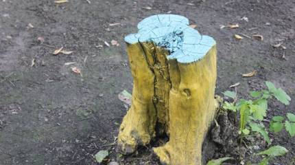 Записки Колорадского Таракана. Иногда реально сомневаюсь, а реальна ли реальность…