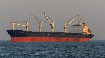 Россия готова бесплатно поставлять зерно в нуждающиеся страны