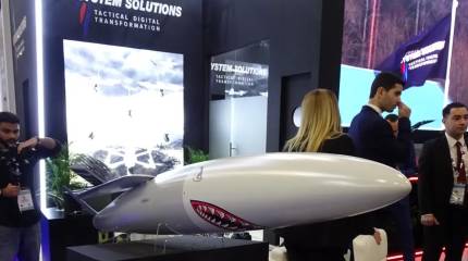 Белорусско-эмиратский проект ракетного комплекса E-System Solutions LCCM Mk 2