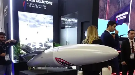 Белорусско-эмиратский проект ракетного комплекса E-System Solutions LCCM Mk 2