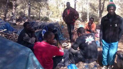 Теперь и афроукраинцы?..