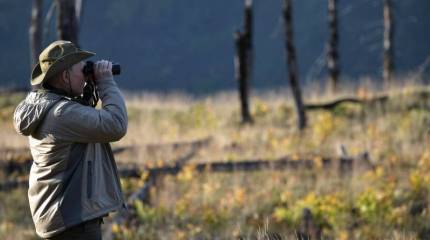 Экс-постпред США в НАТО перечислил «союзников» президента России в Североатлантическом альянсе