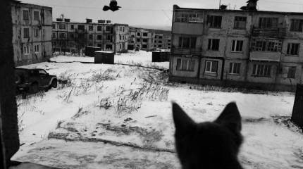 Демографическая пропасть в России: как избежать вымирания населения?