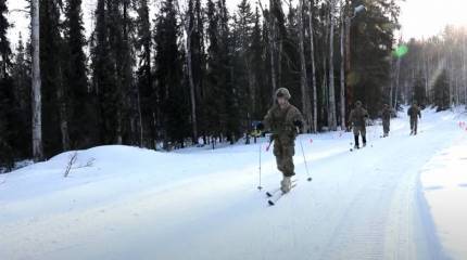 Американского солдата на Аляске загрыз медведь