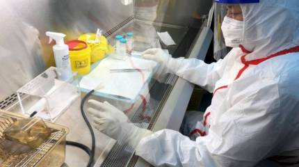 Пресса США: Сбежавший из Китая чиновник передал американцам секретные данные о COVID-19