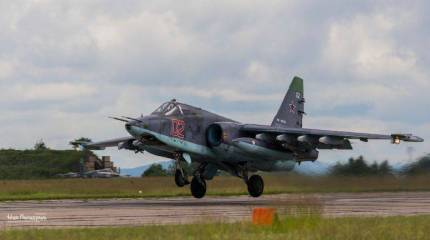 Грачи прилетели