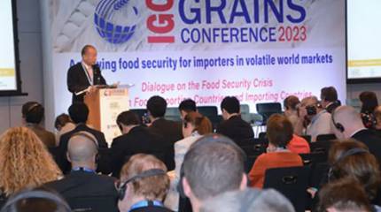 Вашингтон запретил российским дипломатам участвовать в проходящем на территории США заседании Международного совета по зерну